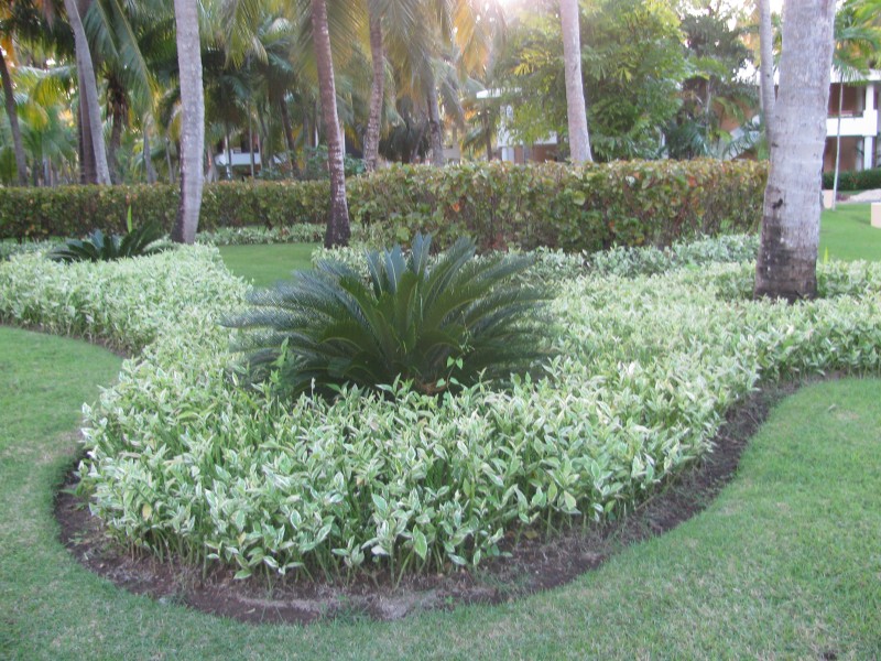 Dominican Republic 313.jpg